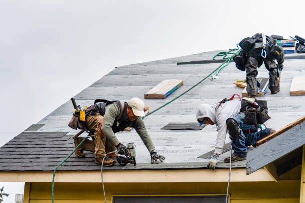 Professional Gutter Installation technician working in Holland, MI